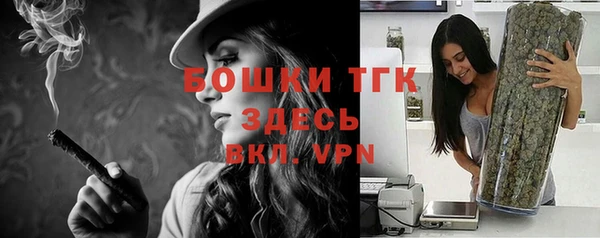 крисы Баксан