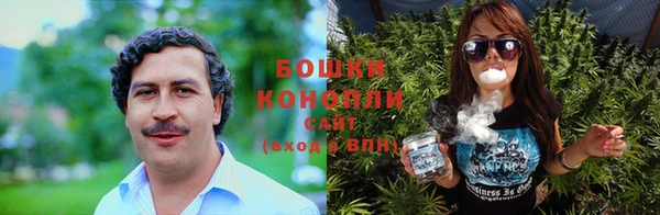крисы Баксан