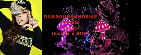 крисы Баксан