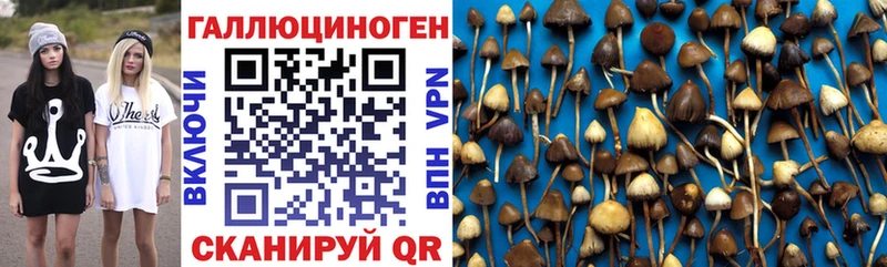 Псилоцибиновые грибы ЛСД  где продают   Бахчисарай 