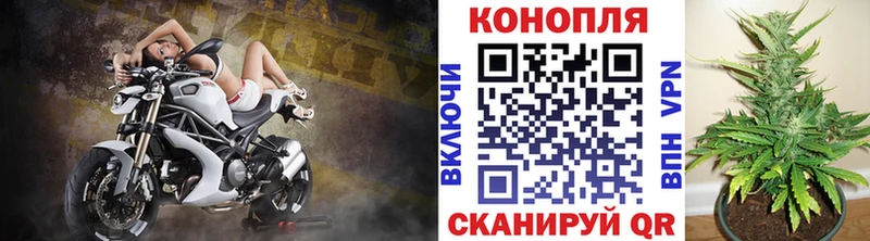 Шишки марихуана Amnesia  Бахчисарай 